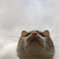 ���Ǳ���~