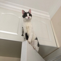 ���ھ�û����������ȥ�ĵط���ʵ�����