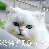 ��β�͹��׵ĳ��޵�һ�������