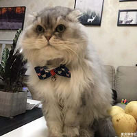 �Ҽ������ġ�С���١�