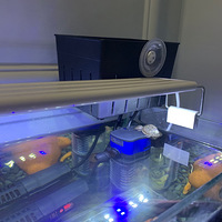 Ҫ�裬����Ժ�������Խ���¼���