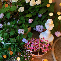 ��Ӣʽ�ִ���԰̸������2020����̨������