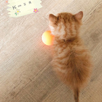 ��ãã���� ���������ҵ����� �ذ�����è