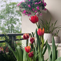 ����̺쿪�顾2020����̨������