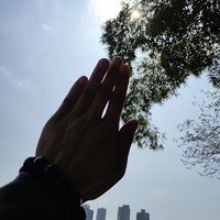 ָ������