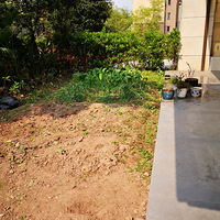 �ҵĻ�԰�ɳ��ǡ�2020����̨������