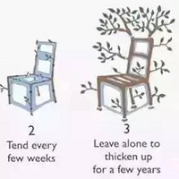 ������10�꣬���������˳���������������2.5��Ԫһ�ѵĸ߼�!