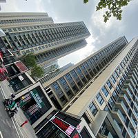 ��Σ��̼������￴��