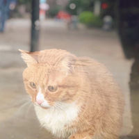 ĵһ죬ɹɹ̫ơ޷ŷ硿