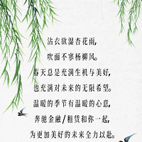 ����  �ذ� | 4��ȫ�¹�����������