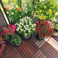 �����ʻ�����̨��������2020����̨������