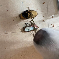 ��������ֻ��Ħ����