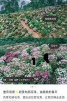 ž黨β ǿһ°ɡ޷ŷ硿