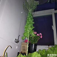 ���˱������Ļ����о������Ļ����������Ƶ�