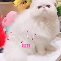 6è�Ѽ��룬���ٻ�������