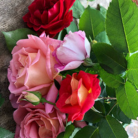 ���������죬�¼������á�2020����̨������