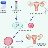 ԹӤ̣עߴɣ