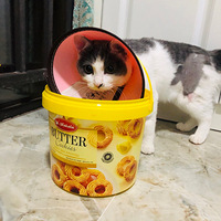 ����Ѽ���2��ë���Ӷ�������