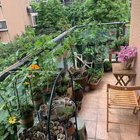 ¶���Ŀ��л�԰��2020����̨������