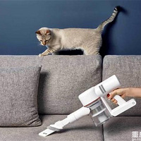 �͹�����ֻ����ϲ�����������������ĸо�������ֻƫ����ɭ