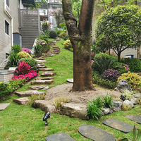 ����һ�¸�����Ļ�԰���ڴ�Խ��Խ����2020����̨������