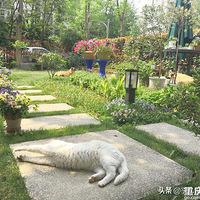 �����и�СԺ���������������飿�������������̵����飡