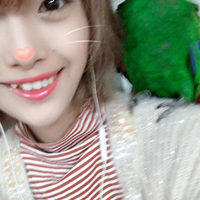 526죬ףϣ30֮ǰܳɹȡ