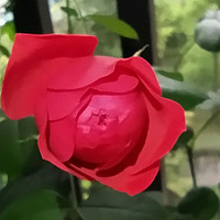 ��ƻ���쿪�ˣ�������