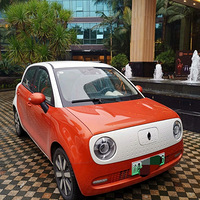 ȥ��12����ģ�����Դ�綯��5000��������