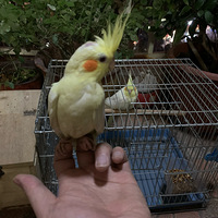 �Դ�������ȳ裬��ñ���ϲ��
