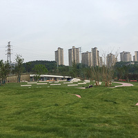 wanghong幫԰Ա߻һС԰޷ŷ硿