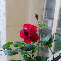 ���Ϻã�Ը������޵Ļ�������Ҵ������ˣ�