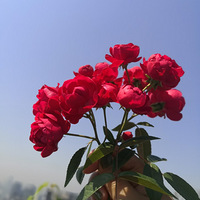 ���ˣ�������������