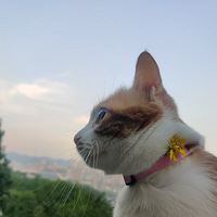 ��Ȼ���е㡰���������ǻ��Ǻ�ϲ��~