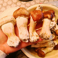 �������������������ʣ�