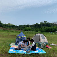 һCall̫޵