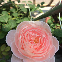 ��һ���»�^��^���ҽ��� ���ӻ�