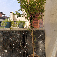 �¼ҵ�һ�������뻧���˽ⴰ�����У����Ƽ�