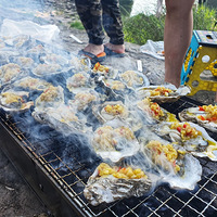 ��һ�ӱ�¶Ӫ�տ�������Ұ�⡾�л������ľ�������