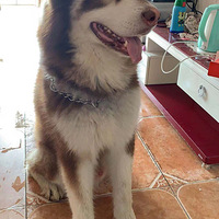 ������ծ���ڱ�ҵ