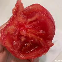 ���ʱر� ����