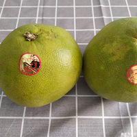 ĸ׽ڿ߹