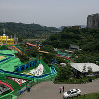�Ҹ����ţ�������ż��