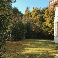 �����Ϻ�������340�O�ң���600�O��԰��װ��ȫ�������ѣ���Ľ