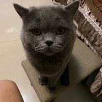 ��λèū�����첻������������������ô������˯����