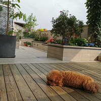 ����������180ƽ��������һ��¥����԰������һ���ֻ�һ��ߣ��