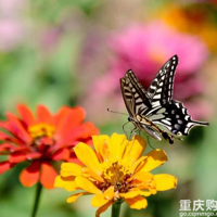 ���쿪����6�ֻ����ǡ�һ���ԡ��ģ�����Ϳ��Զ���