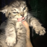 ���ְ̰��껨��