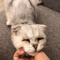 ����ä�������˼ң���ʹ���˼�