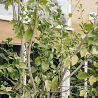 �������ǵļң���������������